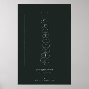 Eukalyptus-Botanik-Linienkunstposter, Dunkle Akade Poster