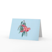 Eukalyptus (Corymbia ficifolia) auf Blue