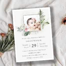 Eukalyptus Fauna Foto Einladung