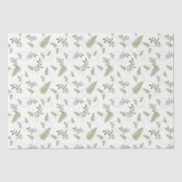 Eukalyptus & Fern Rings Gift Seidenpapier