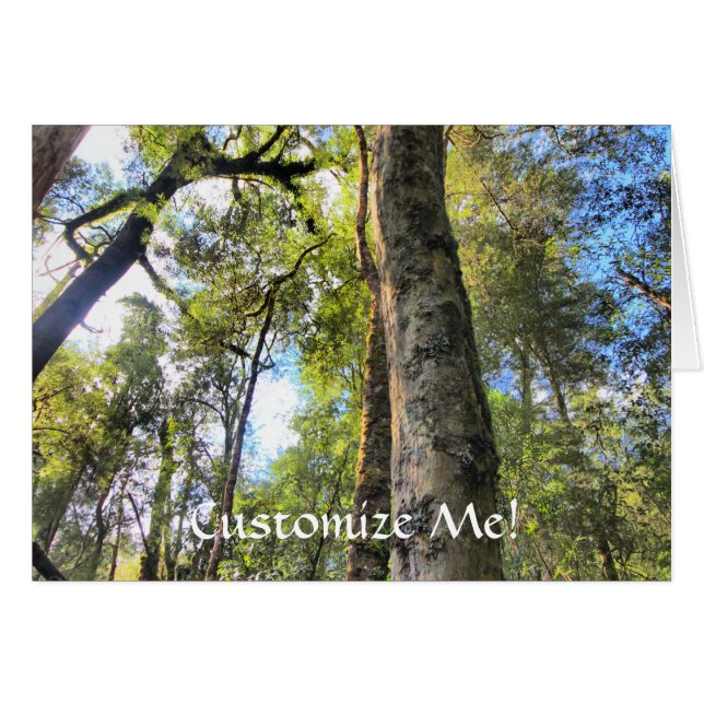 Eukalyptus Gum Trees (Vorderseite (Horizontal))