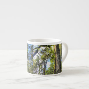 Eukalyptus Gum Trees Espressotasse