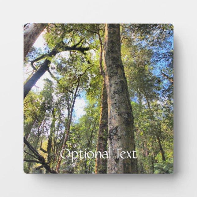 Eukalyptus Gum Trees Fotoplatte (Vorderseite)