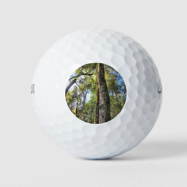 Eukalyptus Gum Trees Golfball (Vorderseite)