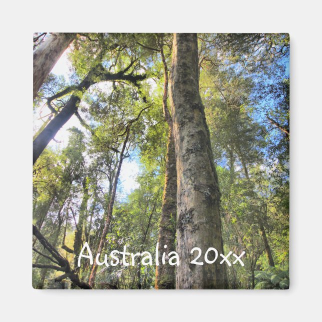 Eukalyptus Gum Trees Magnet (Vorne)