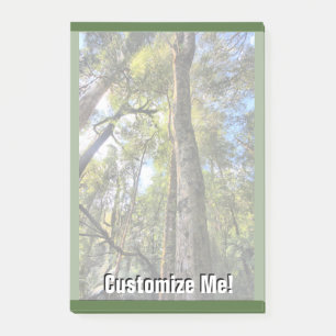 Eukalyptus Gum Trees Post-it Klebezettel