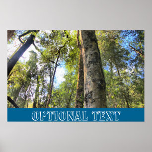 Eukalyptus Gum Trees Poster