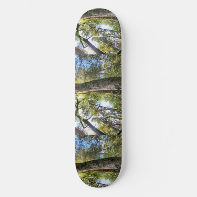 Eukalyptus Gum Trees Skateboard (Vorderseite)