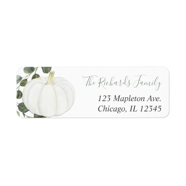 Eukalyptus-Kürbis-Kürbispflanzen (Vorne)