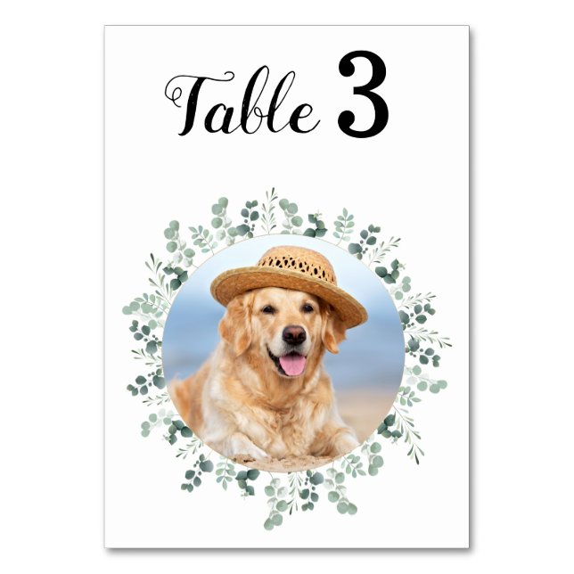 Eukalyptus Modernes elegantes Foto Hochzeit Tischnummer (Vorderseite)