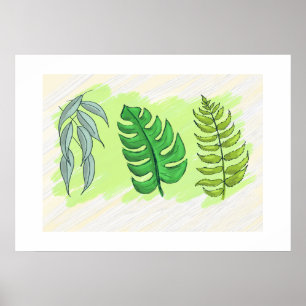 Eukalyptus Monstera und Farne auf großem Plakat