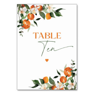 Eukalyptus oranges citrus thematische Tischnummer