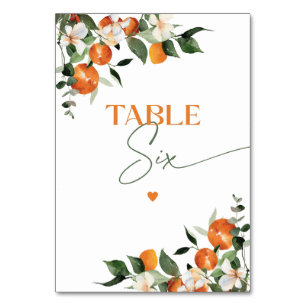 Eukalyptus oranges citrus thematische Tischnummer