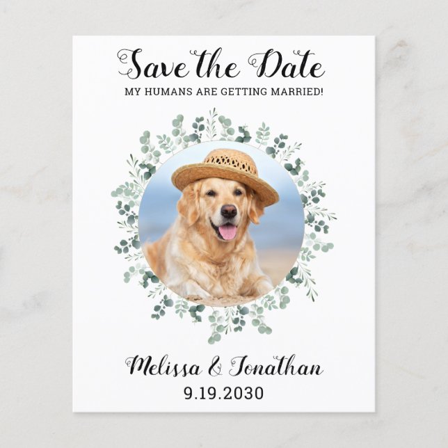 Eukalyptus Pet Wedding Dog Save the Date (Vorderseite)