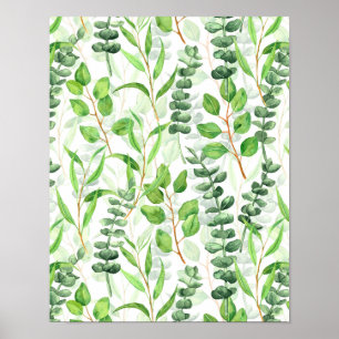 Eukalyptus Poster