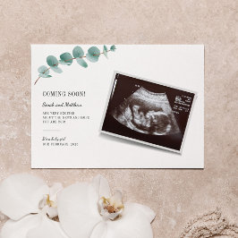 Eukalyptus Pregnancy Announcement Baby Reveal