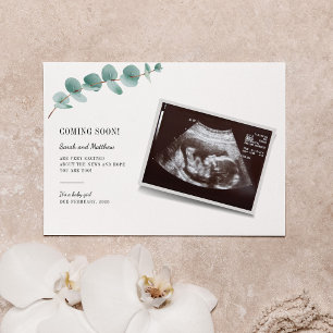 Eukalyptus Pregnancy Announcement Baby Reveal