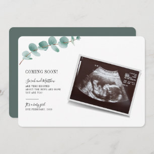 Eukalyptus Pregnancy Baby-Meldung