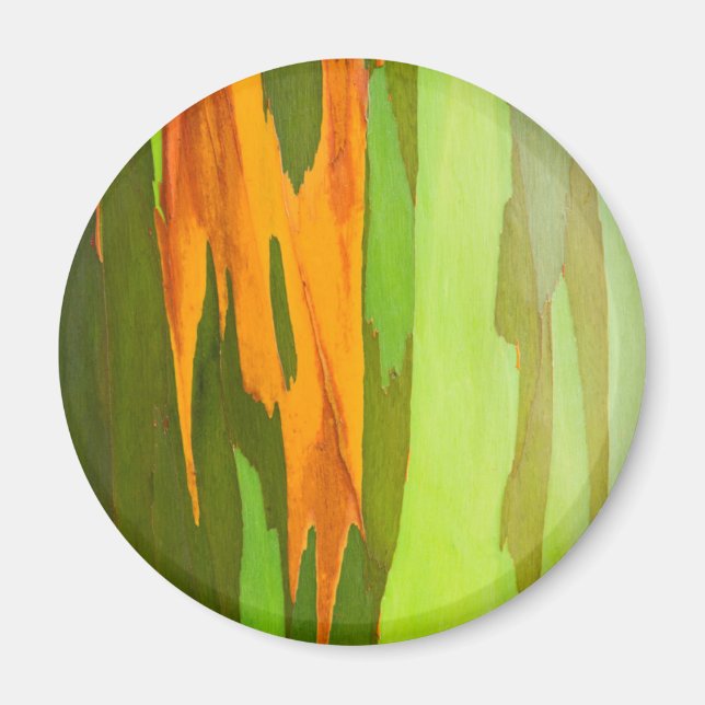 Eukalyptus-Rainbow-Rinde, Hawaii Magnet (Vorne)