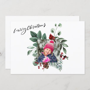 Eukalyptus Red Kardinal Bird Feiertagskarte