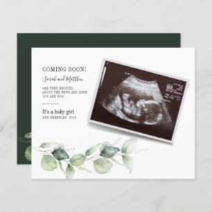 Eukalyptus Schwangerschaft Baby Gender Reveal Sono