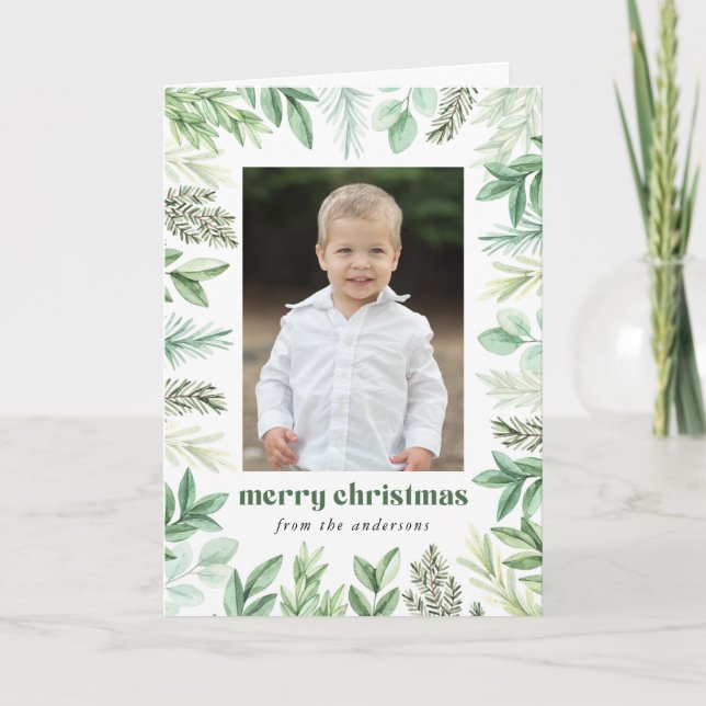 Eukalyptus und Evergreen 2 Foto Feiertagskarte (Vorderseite)