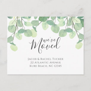Eukalyptus Wir haben uns bewegende Ankündigung ver Postkarte