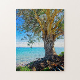 Eukalyptusbaum im Pazifik Puzzle