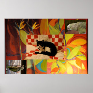 Euklids Traum Poster