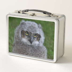 Eule_20180215_von_JAMFoto Metall Lunch Box
