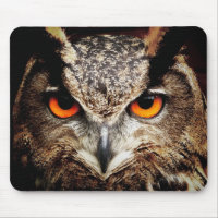 Eule 3 Mousepads