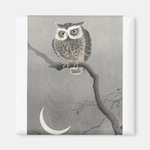 Eule auf einem Baumzweig von Ohara Koson Magnet