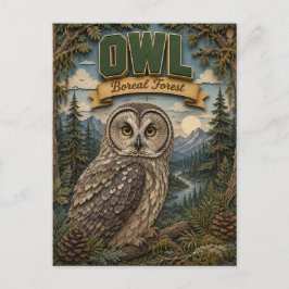 Eule borealer Wald POPCUT Postkarte