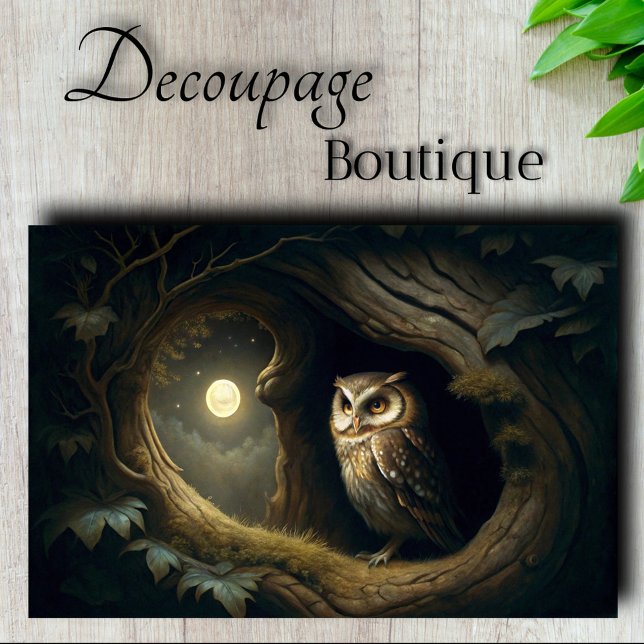 Eule des Mitternachtsträumers Decoupage Seidenpapier (Midnight Dreamer Owl Decoupage Tissue Paper)