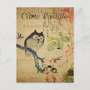 Eule im Vintage-Stil auf einem Ast französische Ca Postkarte