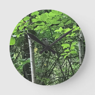 Eule in den Bäumen, Oregon Runde Wanduhr