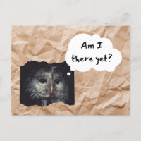Eule in der braunen Tasche Postkarte "Bin ich noch