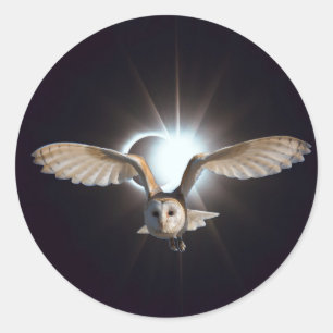 Eule in Outerspace Runder Aufkleber