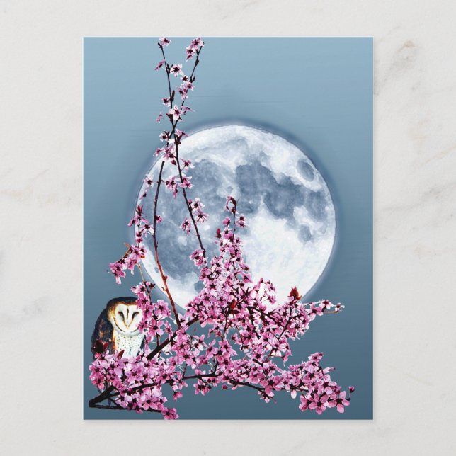 Eule in Pflaumenbaum Postkarte (Vorderseite)