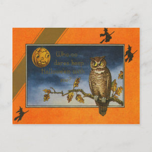 Eule Jack O Lantern Kürbis Postkarte