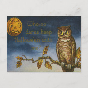Eule Jack O Lantern Kürbis Postkarte