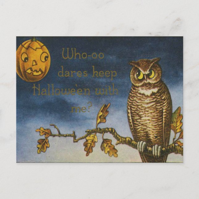 Eule Jack O Lantern Kürbis Postkarte (Vorderseite)
