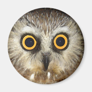 Eule Magnet