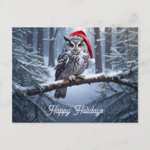 Eule mit Weihnachtsmannmütze Postkarte