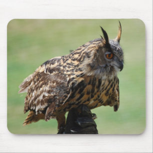 Eule Mousepad