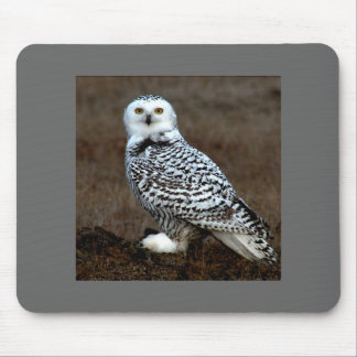 Eule Mousepad