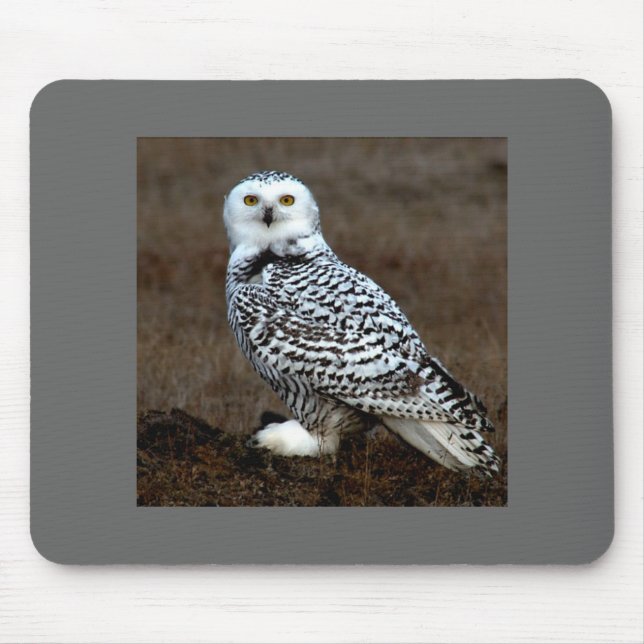 Eule Mousepad (Vorne)
