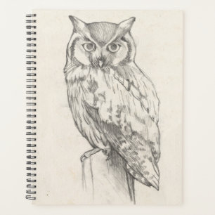 Eule-Portrait - Skizze Planer