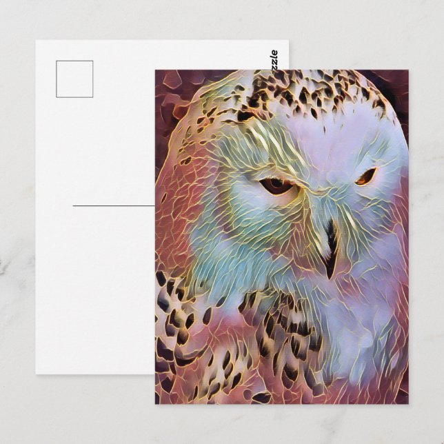 EULE POSTKARTE (Vorne/Hinten)
