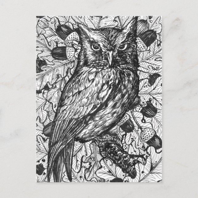 Eule Postkarte (Vorderseite)